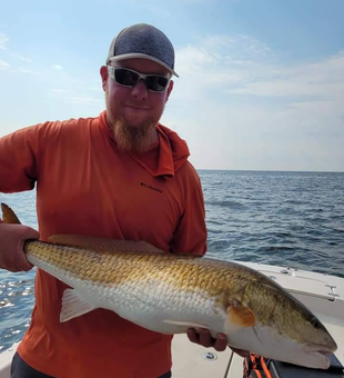 Big bass dreams in the Florida sun